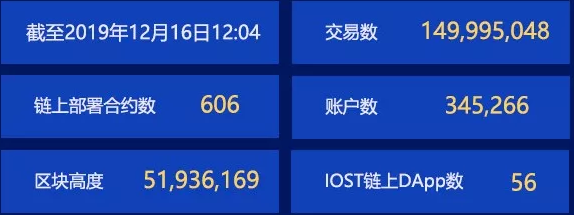 双周报