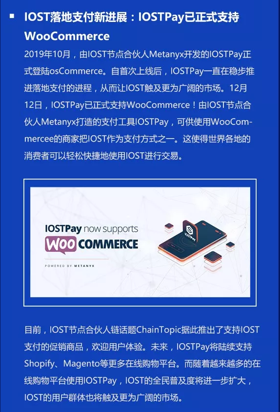 双周报