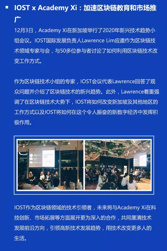双周报