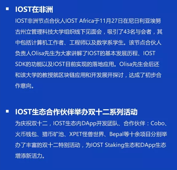 双周报