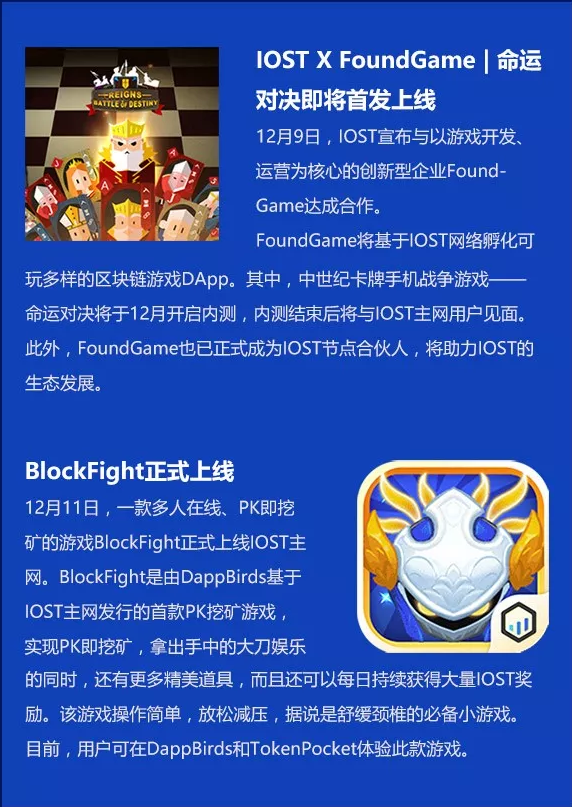 双周报