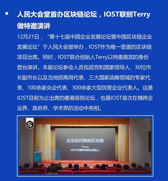 双周报