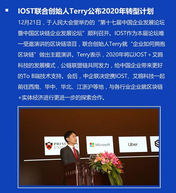 双周报