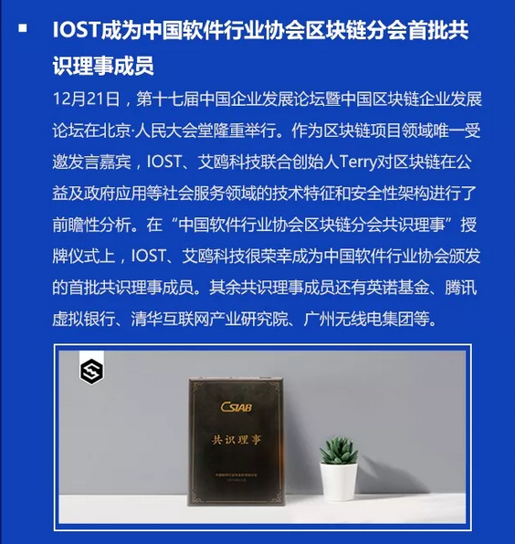 双周报
