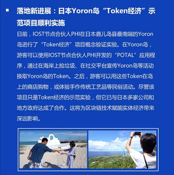 双周报
