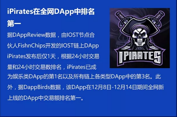 双周报