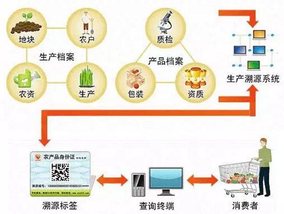 防伪溯源
