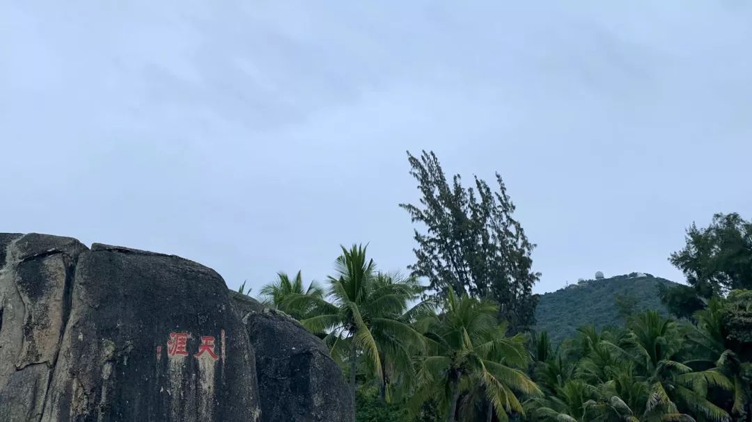 团建