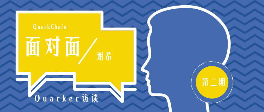 夸克链