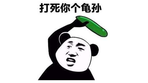 波场