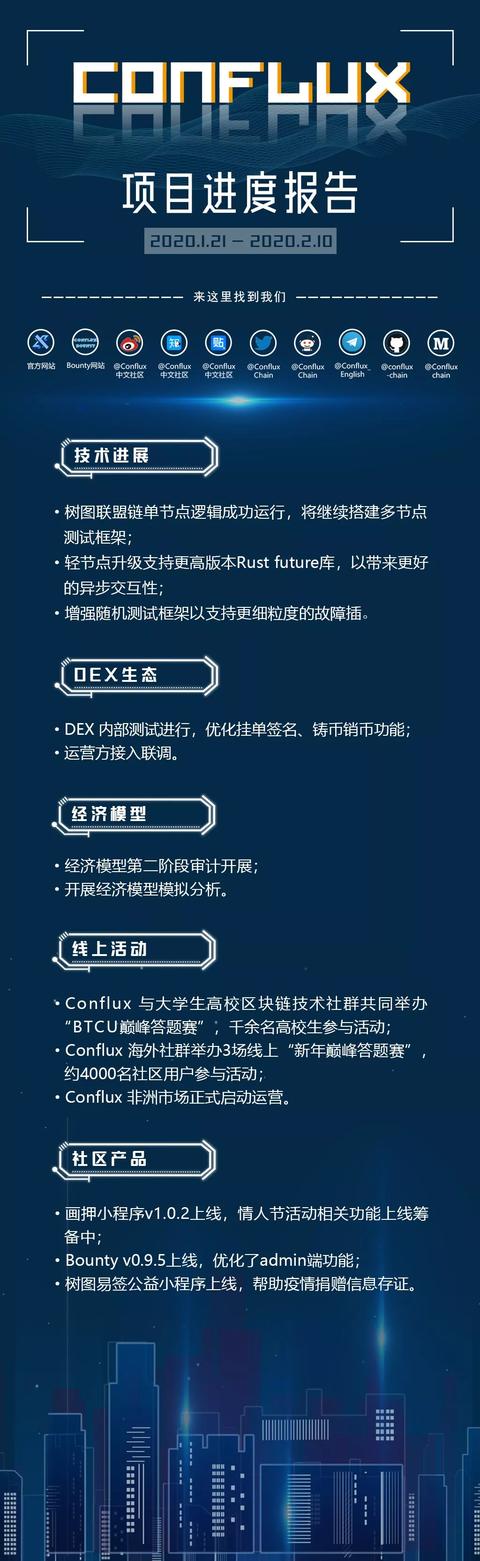 项目报告