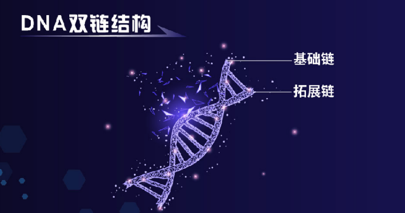 拓展链启动