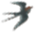政府