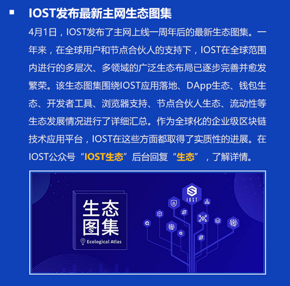 双周报