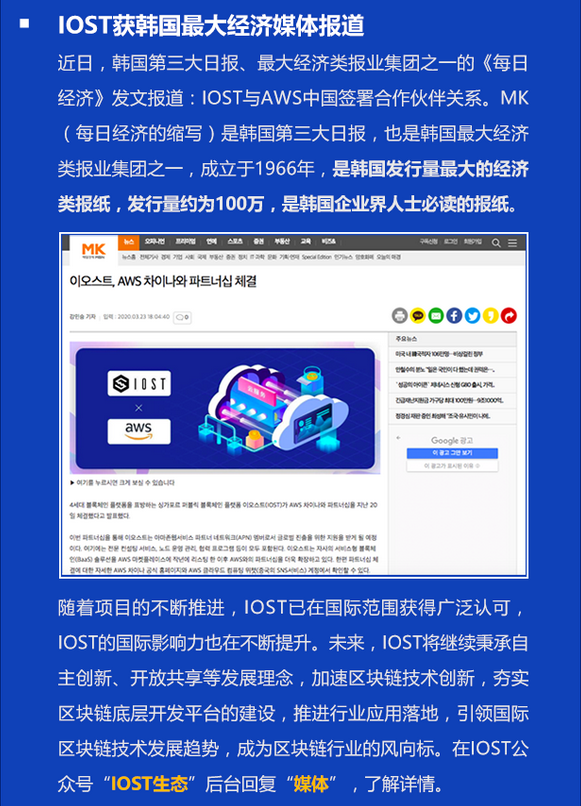 双周报