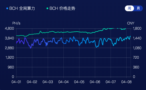 BCHBSV减半