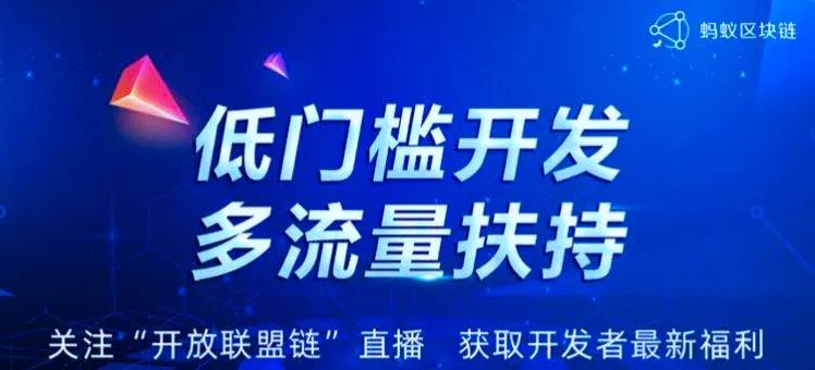 联盟链