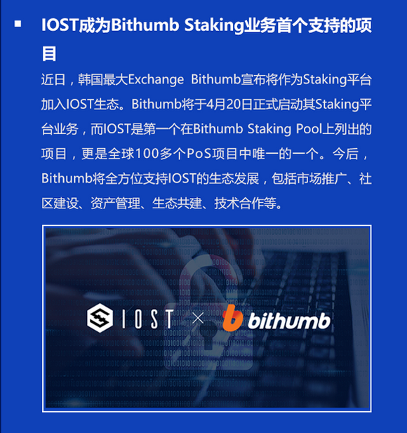 双周报