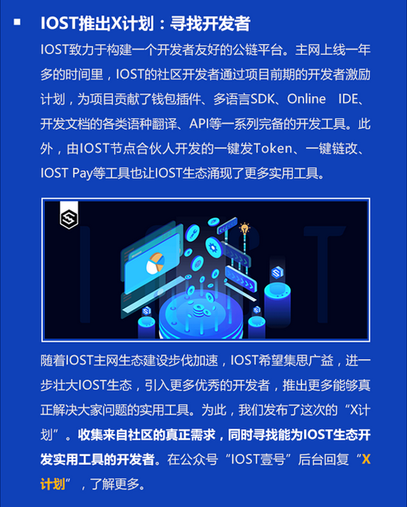 双周报