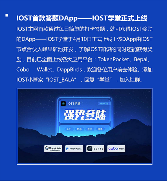 双周报
