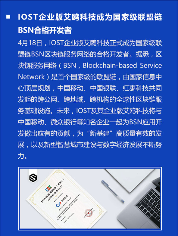 双周报