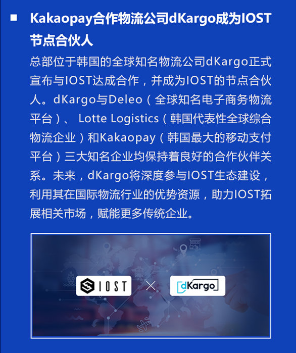 双周报