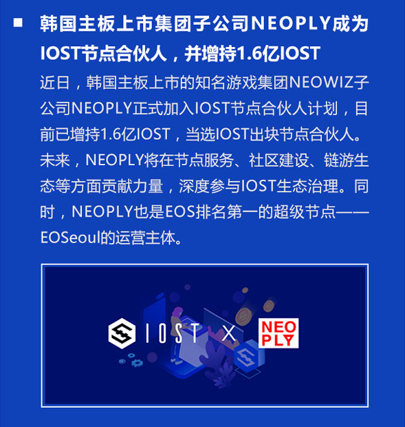 双周报