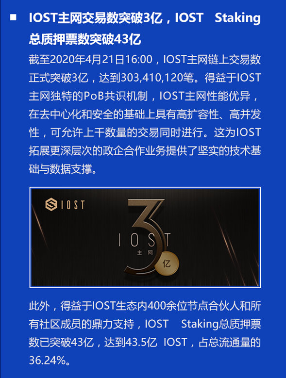 双周报