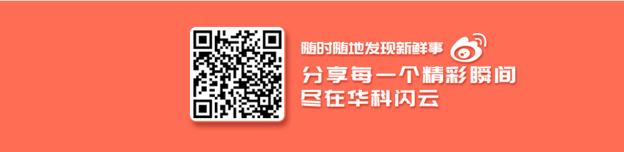 IPFS
