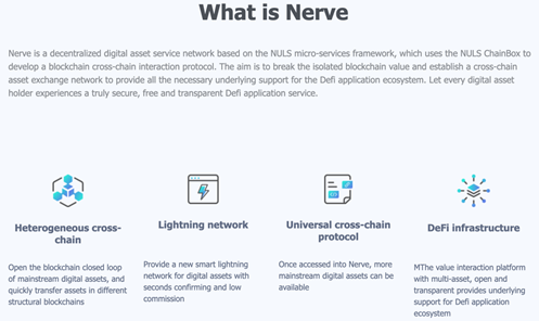 NERVE