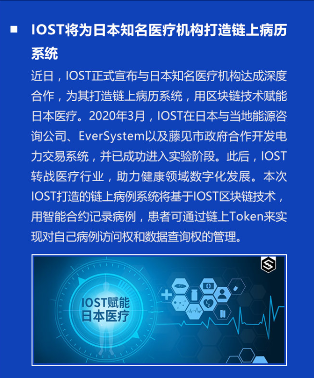双周报