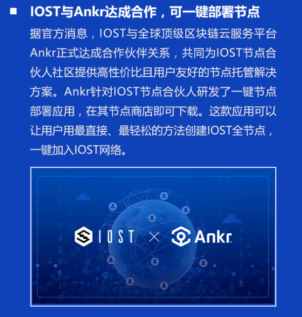 双周报