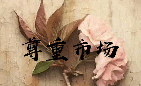 新手