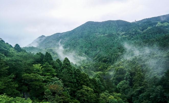 峰会