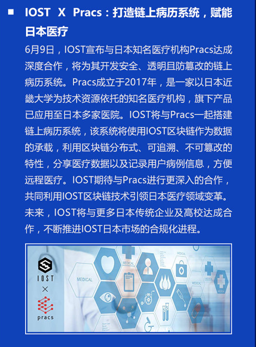 双周报