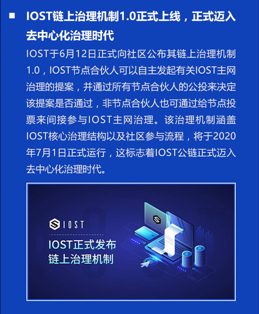 双周报