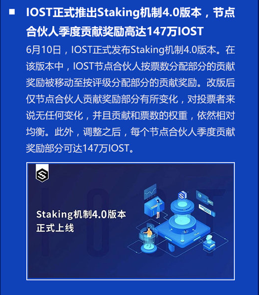 双周报