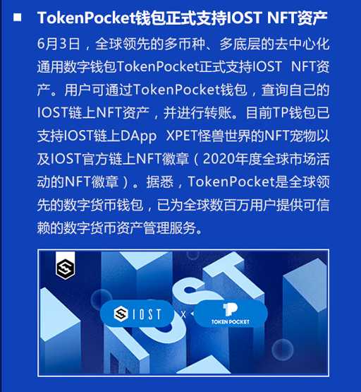 双周报