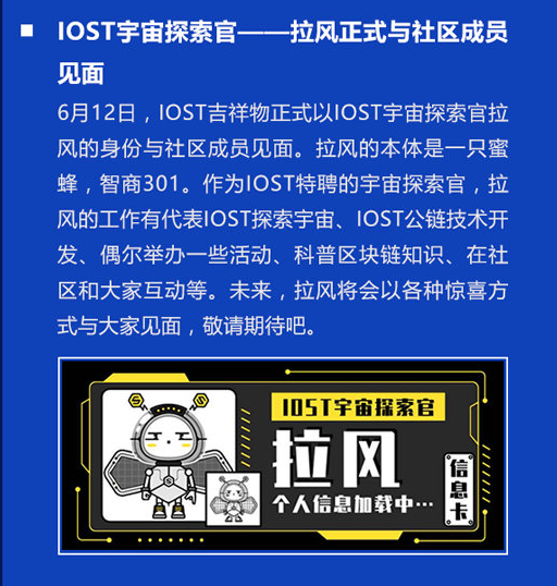 双周报