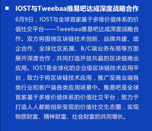 双周报