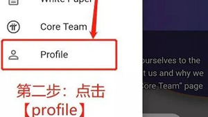 APP