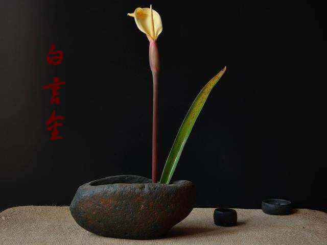 黄金原油