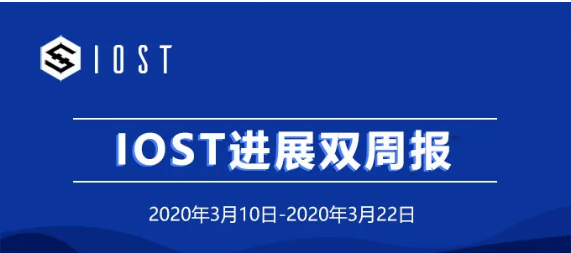 双周报