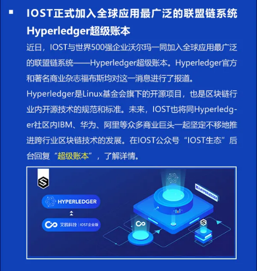 双周报