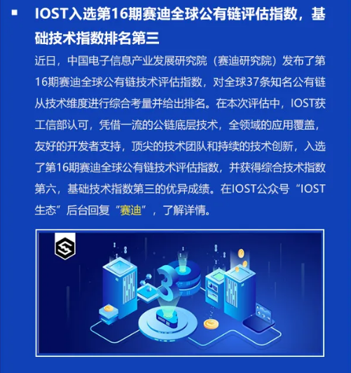 双周报