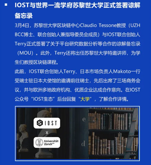 双周报