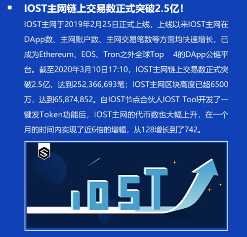 双周报
