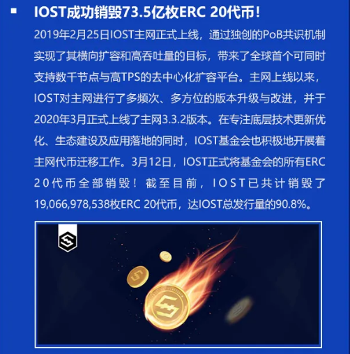 双周报