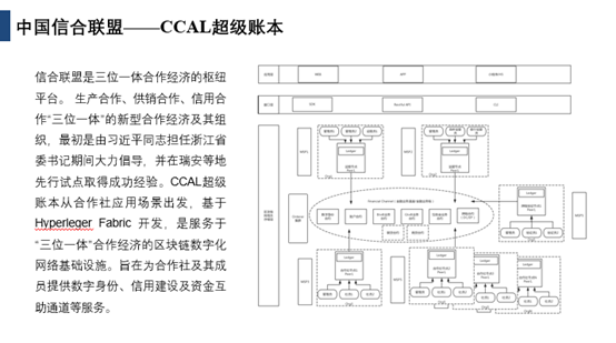 金融领域