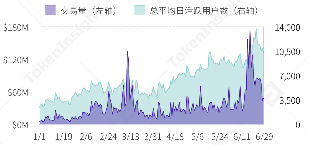 报告